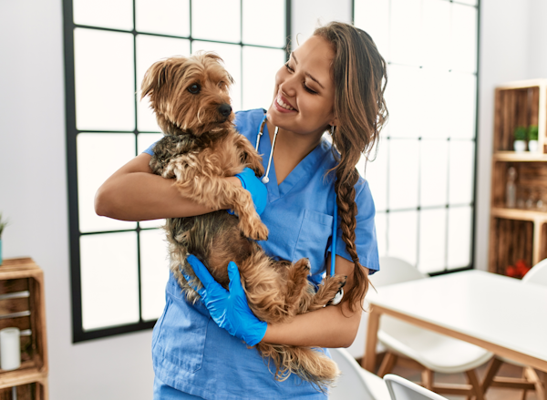 Image of vet with dog.