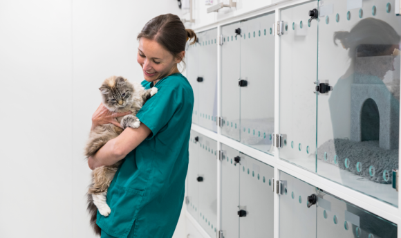 Image of vet with cat