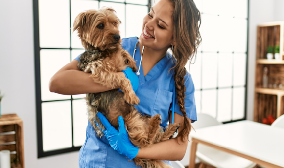 Image of vet with dog